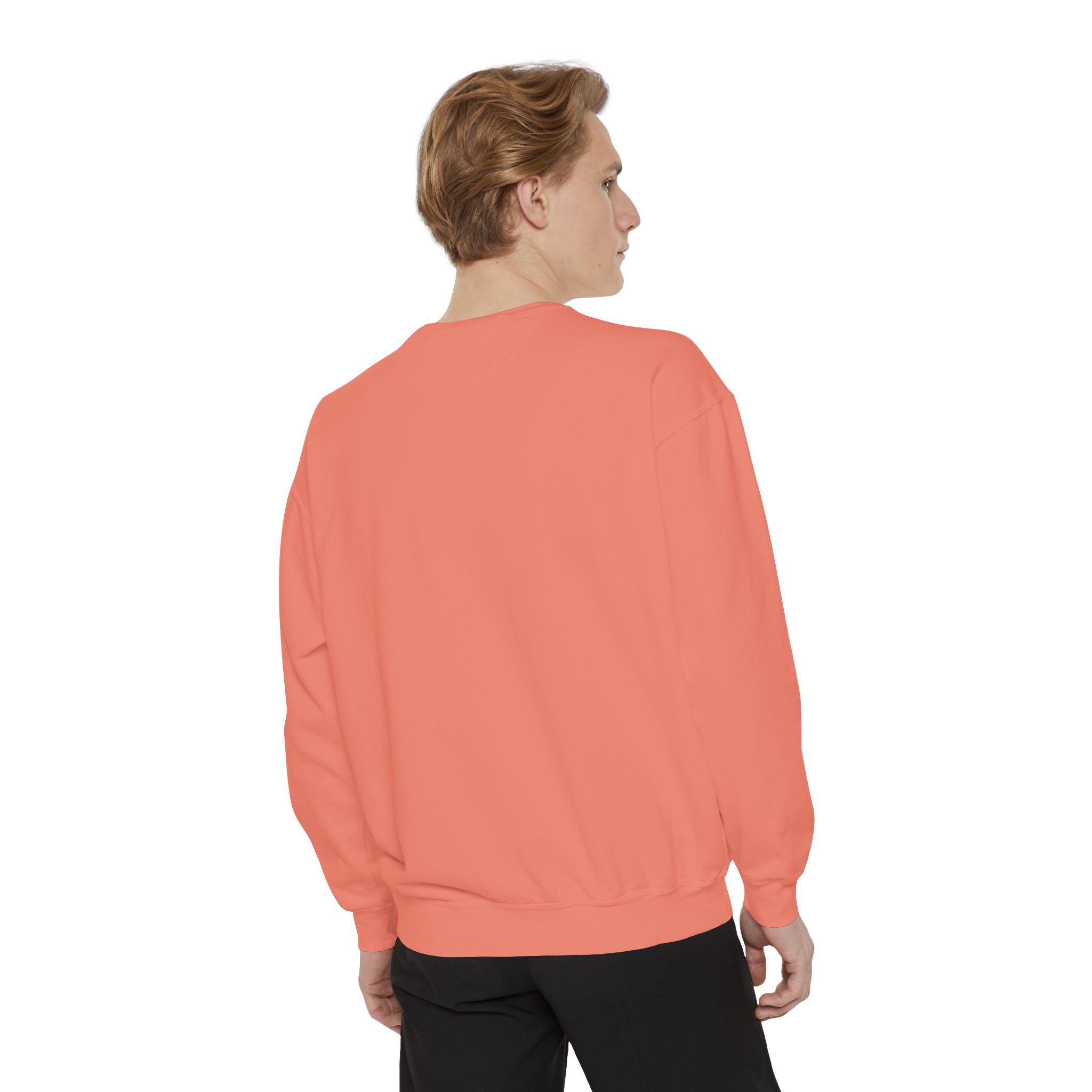 Cat Grid Sweatshirt