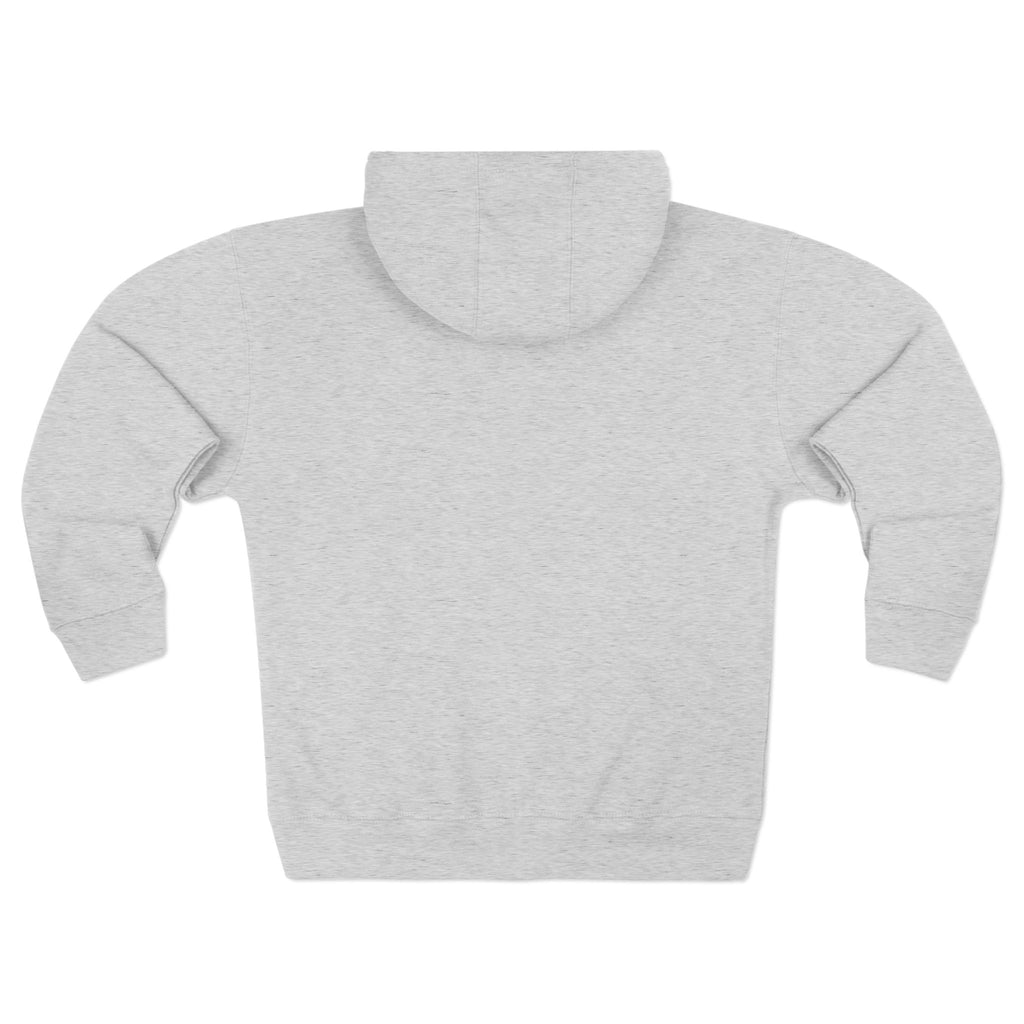 Colorful Cat Panels Zip Hoodie