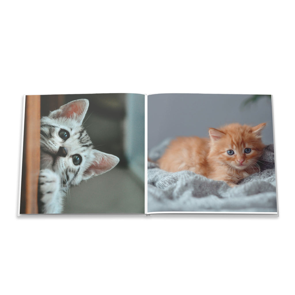 Cat Photo Book