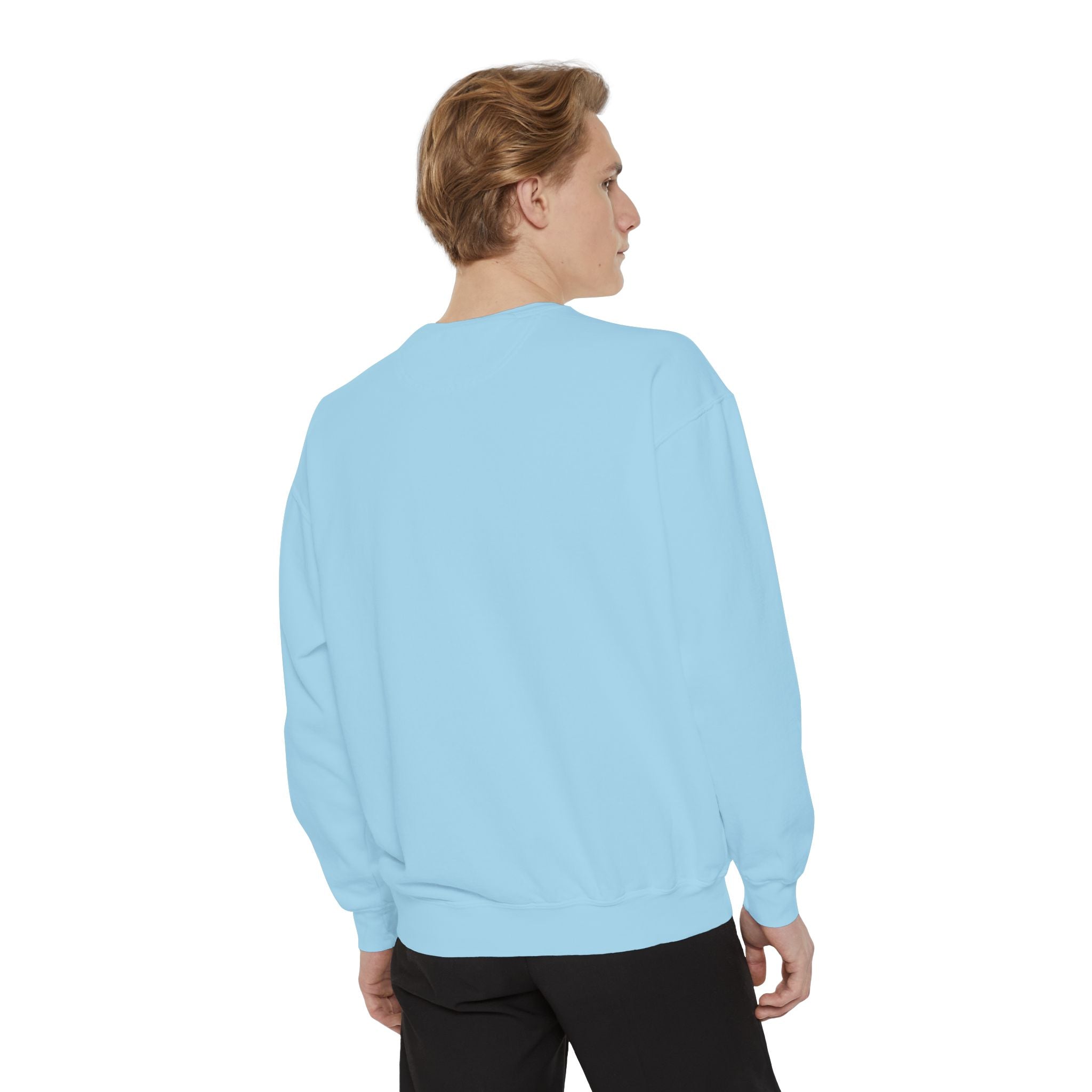 Cat Grid Sweatshirt