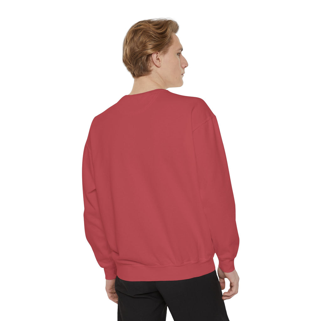 Cat Grid Sweatshirt