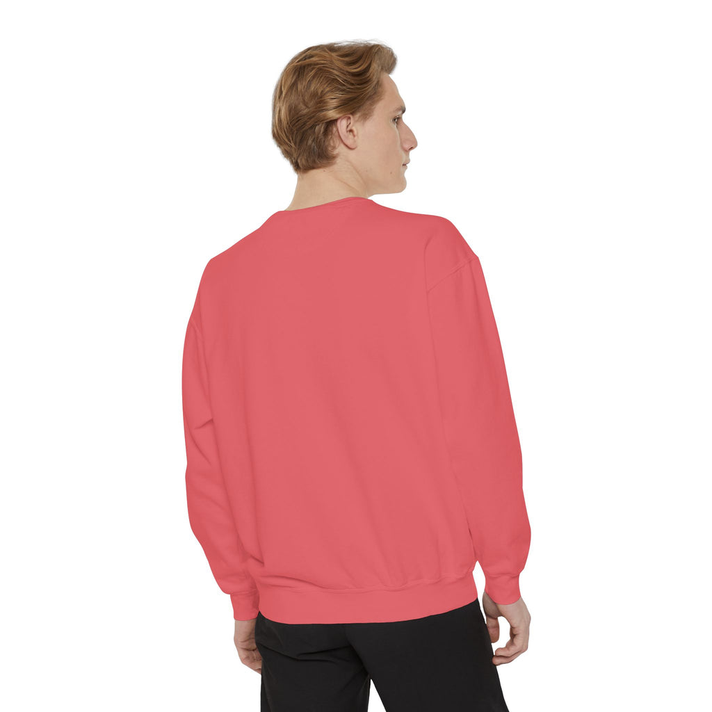 Cat Grid Sweatshirt