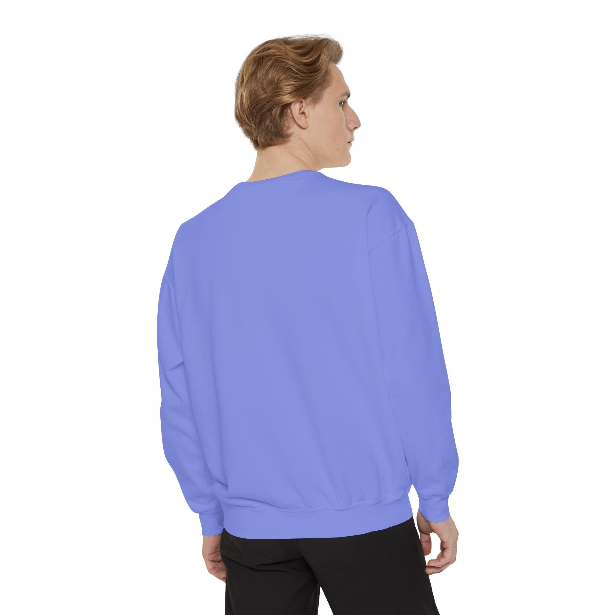 Cat Grid Sweatshirt