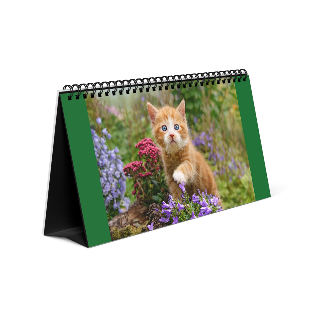 Cat Photo Desktop Planner