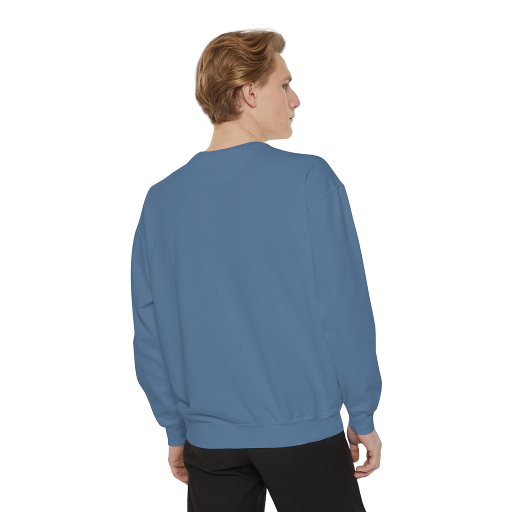 Cat Grid Sweatshirt