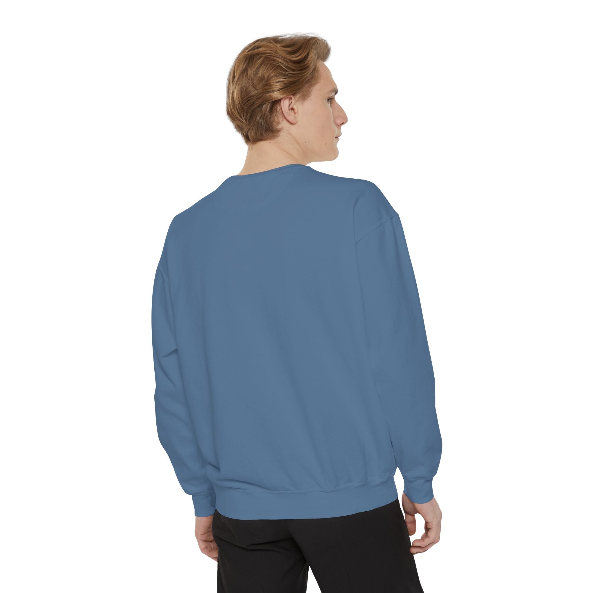 Cat Grid Sweatshirt